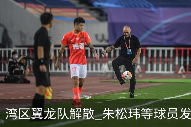 湾区翼龙队解散 朱松玮等球员发布声明维权