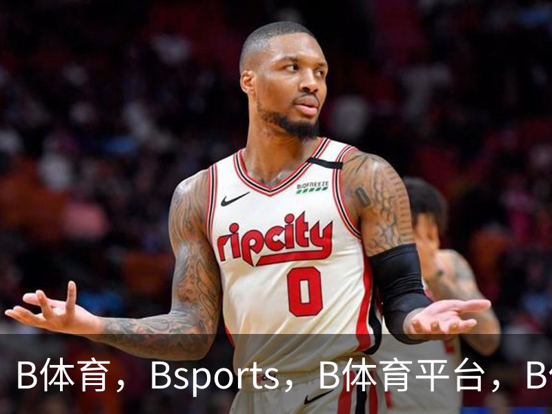 B体育，Bsports，B体育平台，B体育下载品牌故事